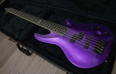 Лот: 11729967. Фото: 1. ESP Horizon 5 (Metallic Purple... Гитары