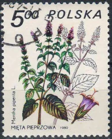 Лот: 25169376. Фото: 1. 1980. Польша. Лечебные растения... Марки