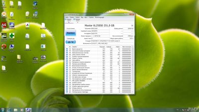 Лот: 12994827. Фото: 1. HDD жесткий диск 250gb Maxtor... Жёсткие диски (HDD)