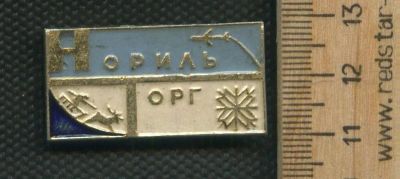 Лот: 17375113. Фото: 1. (№ 8057 ) значки Норильск Торг. Памятные медали
