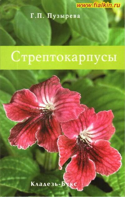 Лот: 4515944. Фото: 1. Книга: Стрептокарпусы. Сад, огород, цветы