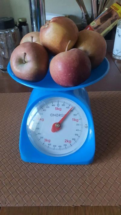 Лот: 24946236. Фото: 1. Весы кухонные механические 5 кг. Кухонные аксессуары
