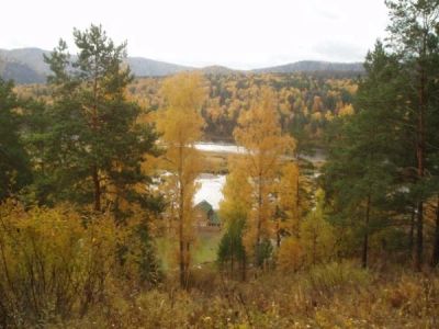 Лот: 4081694. Фото: 1. земельный участок 10 соток. Земельные участки