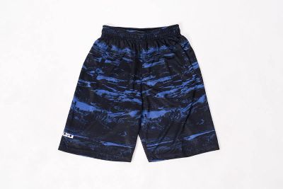 Лот: 11618626. Фото: 1. Шорты Nike LeBron. Свитеры, толстовки, худи