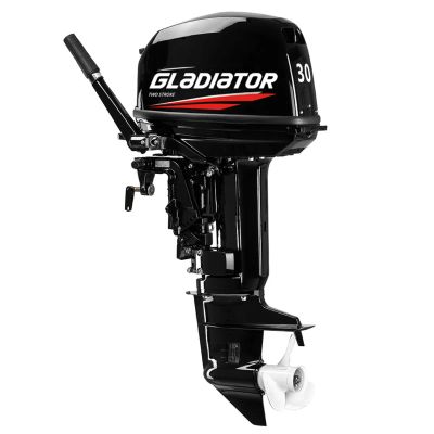 Лот: 25362505. Фото: 1. 2х-тактный лодочный мотор GLADIATOR... Лодочные моторы