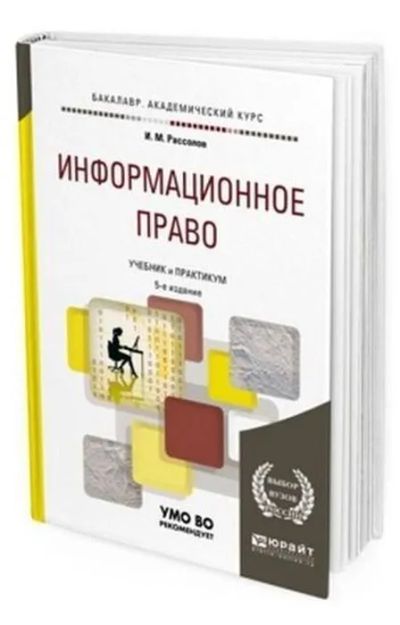 Лот: 25528444. Фото: 1. Рассолов Илья - Информационное... Для вузов