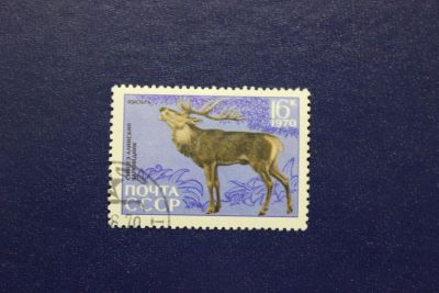 Лот: 6979684. Фото: 1. Почтовая марка №4696 в коллекцию. Марки