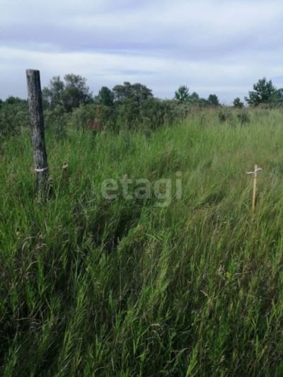Лот: 25296422. Фото: 1. участок , СНТ Дружба СНТ Дружба... Земельные участки