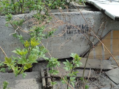 Лот: 17641305. Фото: 1. кирпичи 11 штук.. Кафель, гранит, интерьерный камень