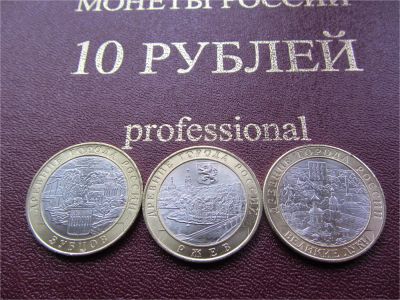 Лот: 8002825. Фото: 1. 10 рублей 2016 г Зубцов + Ржев... Россия после 1991 года