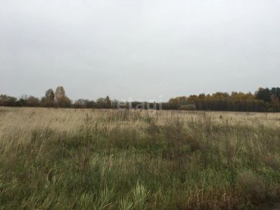 Лот: 25292618. Фото: 1. участок , Сосновоборск Сосновоборск... Земельные участки