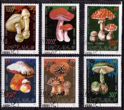Лот: 9984315. Фото: 1. 1991 Вьетнам. Грибы. Полная серия... Марки