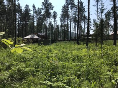 Лот: 16225254. Фото: 1. Земля. Земельные участки