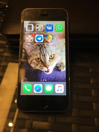 Лот: 11226704. Фото: 1. Apple iPhone 5s 16gb. Смартфоны