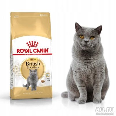 Лот: 8173250. Фото: 1. Royal Canin British Shorthair... Корма