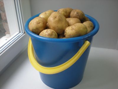 Лот: 16486901. Фото: 1. картофель картошка 2021 (Обмен... Картофель