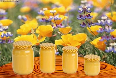 Лот: 3667569. Фото: 1. Продам мёд!. Мёд, продукты пчеловодства