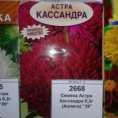 Лот: 9113378. Фото: 1. Семена / цветы / Астра / Кассандра... Садовые цветы