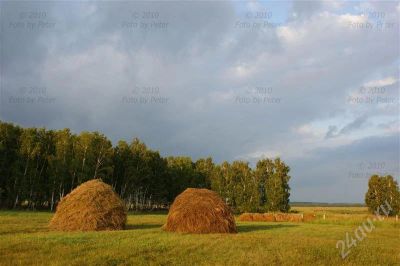 Лот: 341252. Фото: 1. Фотокартина-отличный подарок... Фотографии