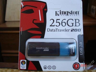 Лот: 1859064. Фото: 1. USB FLASH Kingston 256GB - Новое... USB-флеш карты