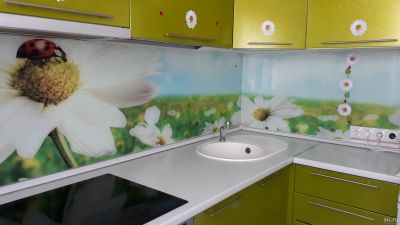 Лот: 13875941. Фото: 1. Фартук для кухни с фотопечатью. Фартуки для кухни