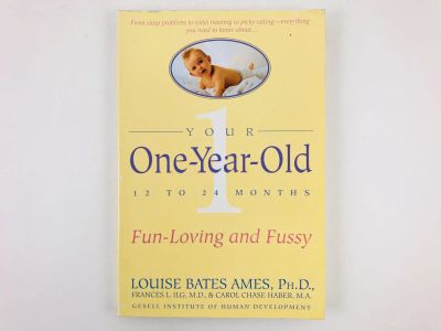 Лот: 23277736. Фото: 1. Your One-Year-Old: The Fun-Loving... Другое (литература, книги)