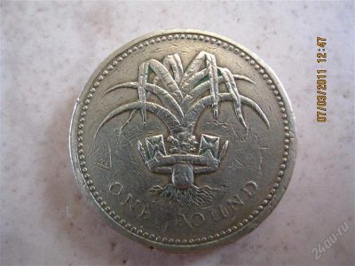 Лот: 816039. Фото: 1. ONE POUND. Другое (монеты)
