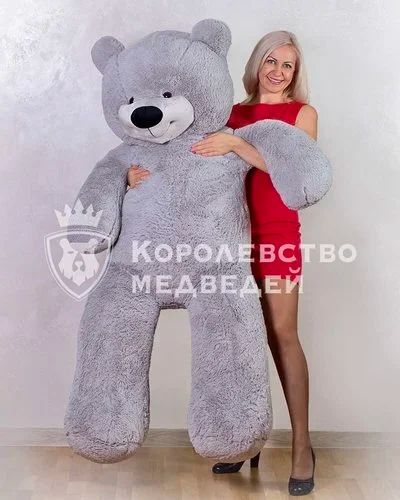 Лот: 12636470. Фото: 1. Плюшевый Мишка "Буян" серый 170... Мягкие