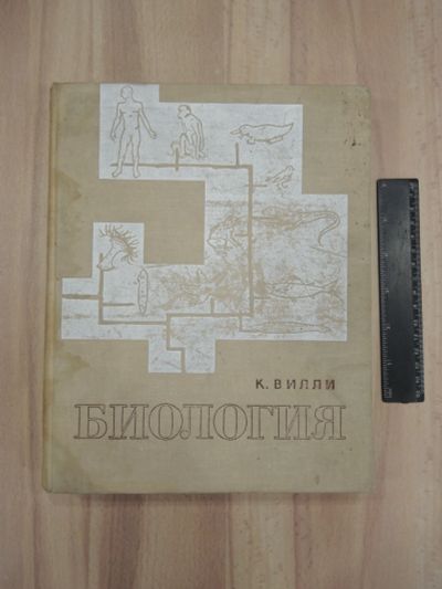 Лот: 20509036. Фото: 1. винтажная книга Вилли биология... Книги