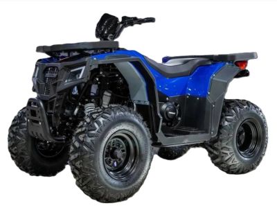 Лот: 25771607. Фото: 1. Квадроциклы PROGASI Race Jumper... Снегоходы, квадроциклы