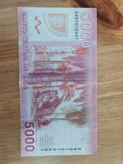 Лот: 20008102. Фото: 1. 5000 песо 2011 Чили банкнота... Америка