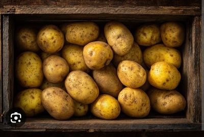 Лот: 25851576. Фото: 1. Картофель крупный. Картофель