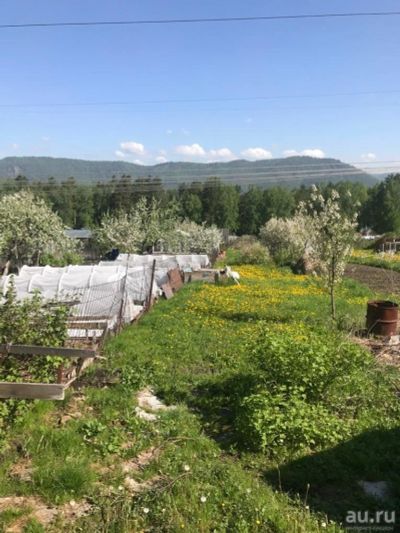 Лот: 17499075. Фото: 1. Дача с домиком. Дачи