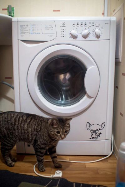 Лот: 7796730. Фото: 1. Стиральная машина Indesit. Стиральные машины