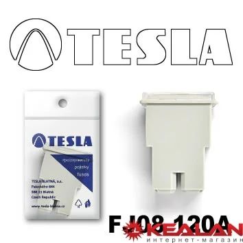 Лот: 8599219. Фото: 1. TESLA FJ08 120A предохранитель... Расходные материалы