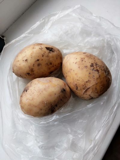 Лот: 18686981. Фото: 1. Обмен моих лотов на картофель... Картофель
