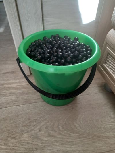 Лот: 20659473. Фото: 1. Ведро смородины 5 л. отличная!. Ягоды, орехи