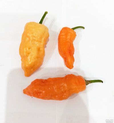 Лот: 14573179. Фото: 1. Плод перца Bhut jolokia Peach... Овощи, фрукты, зелень