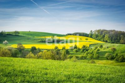 Лот: 25299332. Фото: 1. участок , село Устюг село Устюг... Земельные участки
