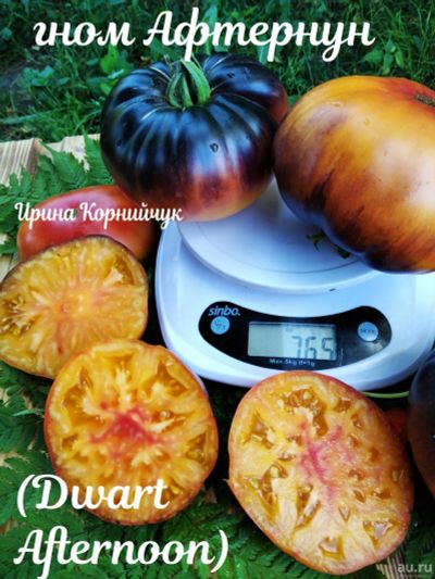 Лот: 18569442. Фото: 1. Семена томатов из проекта Томатный... Овощи