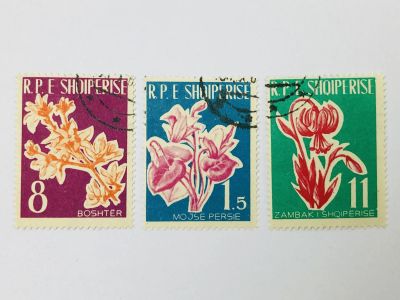 Лот: 23963555. Фото: 1. Цветы. Цикламен персидский. Форзиция... Марки