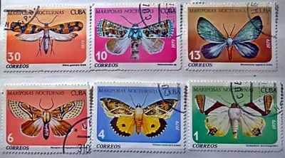 Лот: 12954129. Фото: 1. Марки Фауна. Куба. Бабочки. 1979... Марки