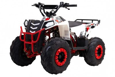Лот: 25363120. Фото: 1. Квадроцикл WELS Thunder EVO M... Снегоходы, квадроциклы
