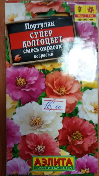 Лот: 15536571. Фото: 1. портулак ковровый супер долгоцвет. Садовые цветы