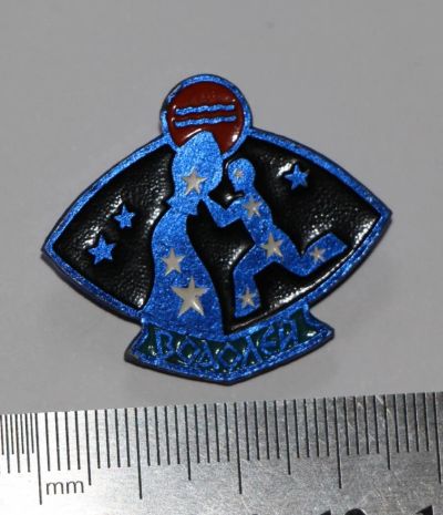 Лот: 9509431. Фото: 1. Значок: знак зодиака: Водолей... Сувенирные