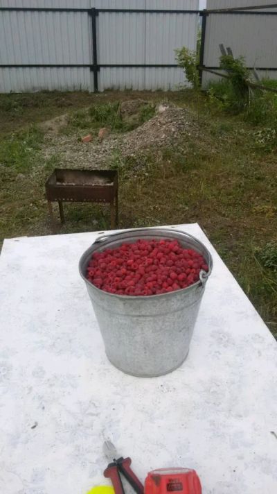 Лот: 11352197. Фото: 1. Продам участок. Земельные участки