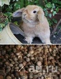 Лот: 9530172. Фото: 1. Кроличий навоз, перегной в мешках... Грунты, удобрения