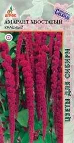 Лот: 11024091. Фото: 1. Амарант Хвостатый красный. Садовые цветы