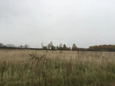 Лот: 25292634. Фото: 1. участок , Сосновоборск Сосновоборск... Земельные участки