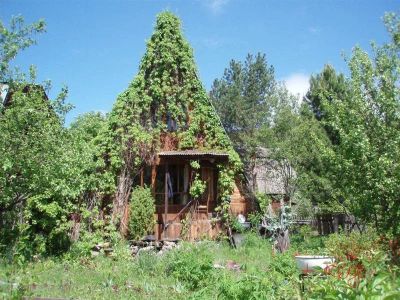 Лот: 823544. Фото: 1. Дача Боровое-Телефонистов. Дачи